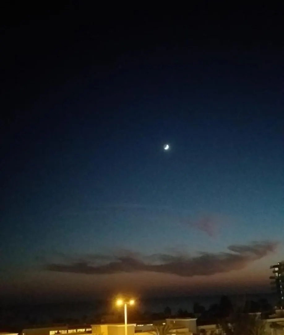 Palm Garden Apartment مورو ذيل خابلِ